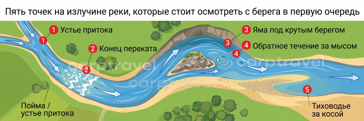 Пять точек на речном повороте, которые стоит проверить с берега в первую очередь Пять точек на речном повороте, которые стоит проверить с берега в первую очередь