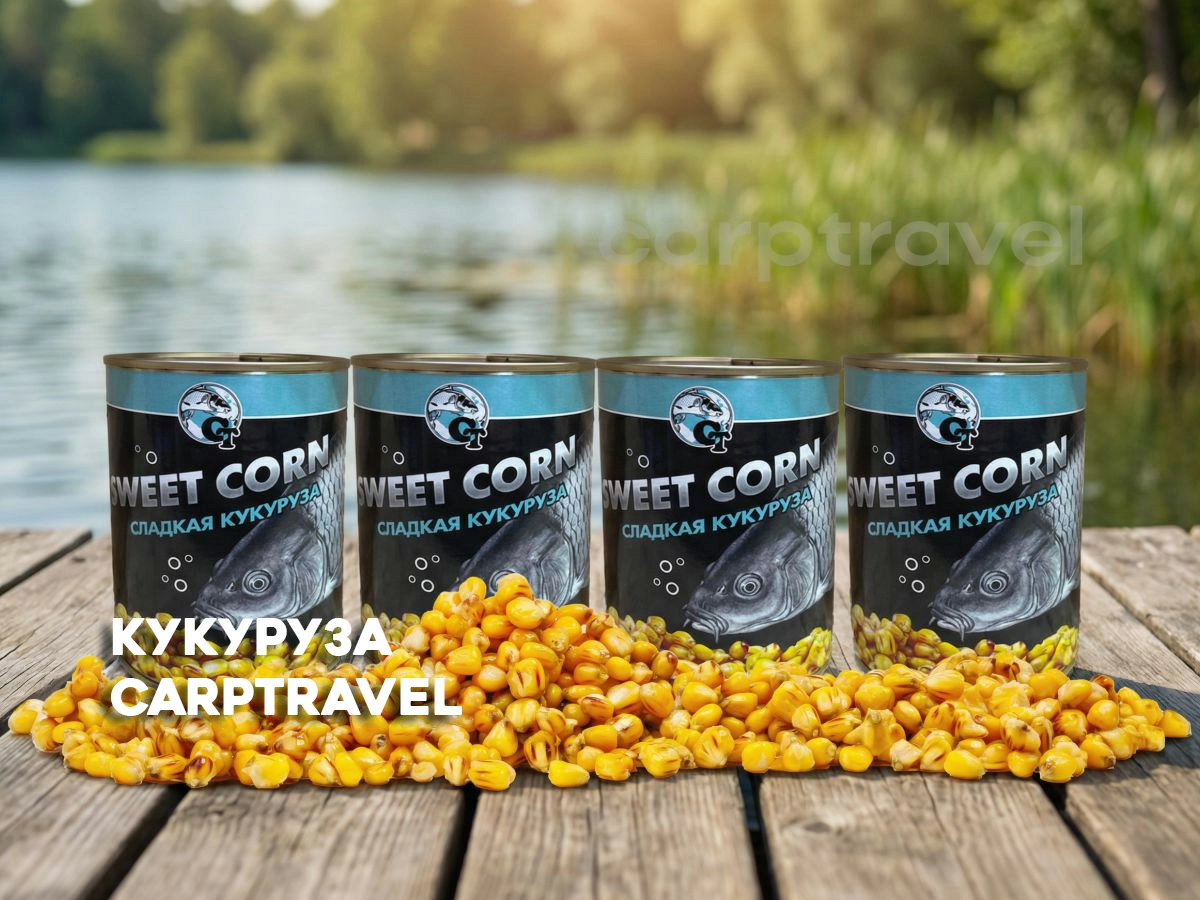 Готовая кукуруза для рыбалки CarpTravel: когда выгоднее купить, чем варить Готовая кукуруза для рыбалки CarpTravel: когда выгоднее купить, чем варить