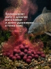 Бойлы пылящие Carptravel насадочные Plum 14мм 100 г (Слива) 4