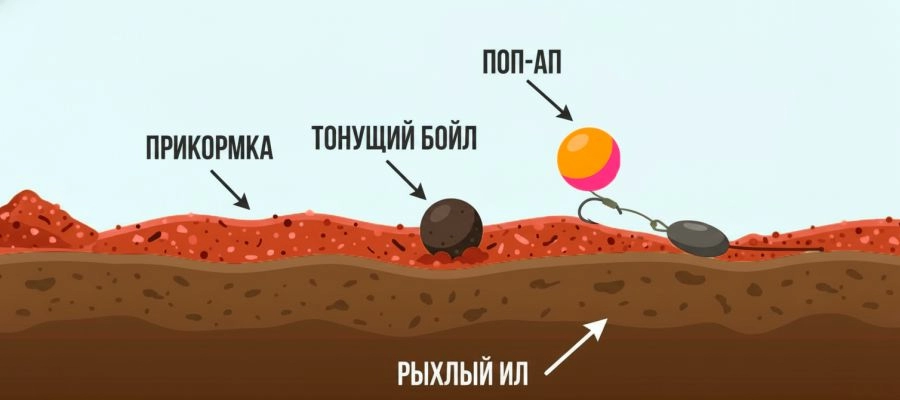 Схема расположения прикормки, тонущих бойлов и поп-апов на дне водоема Схема расположения прикормки, тонущих бойлов и поп-апов на дне водоема