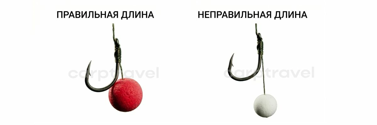 Длина волоса: главный параметр, от которого зависит реализация поклёвки