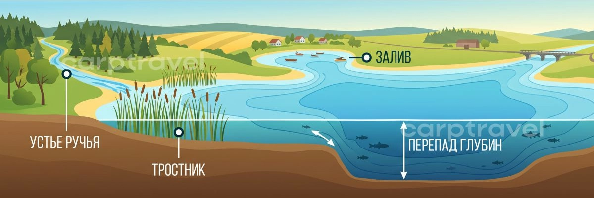 Карта перспективных точек для майской рыбалки на карася Карта перспективных точек для майской рыбалки на карася