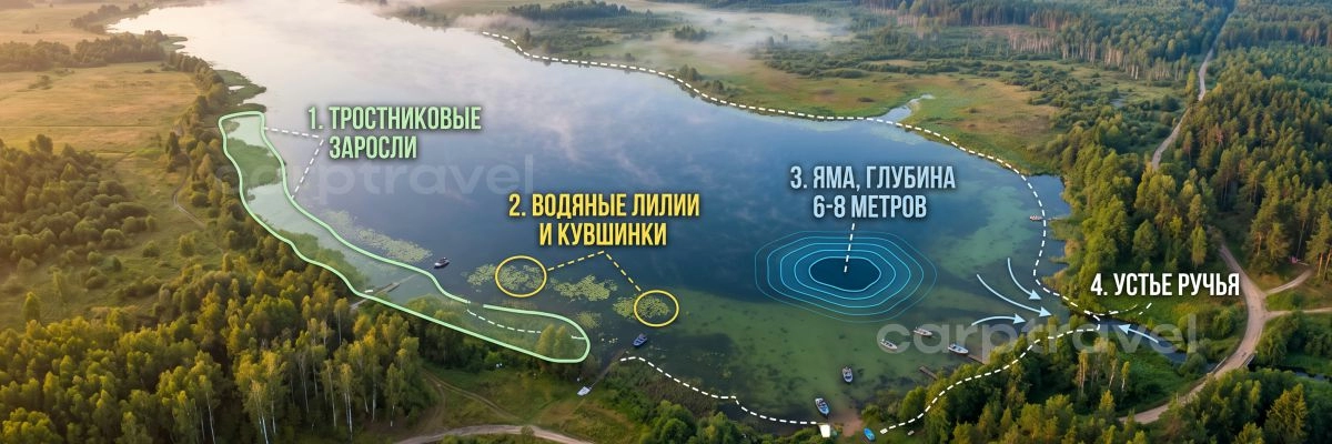 Перспективные точки для июльской ловли карася