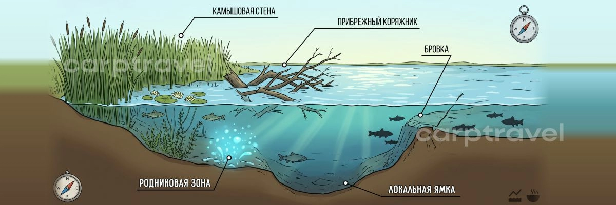 Перспективные точки для поиска карася в июне