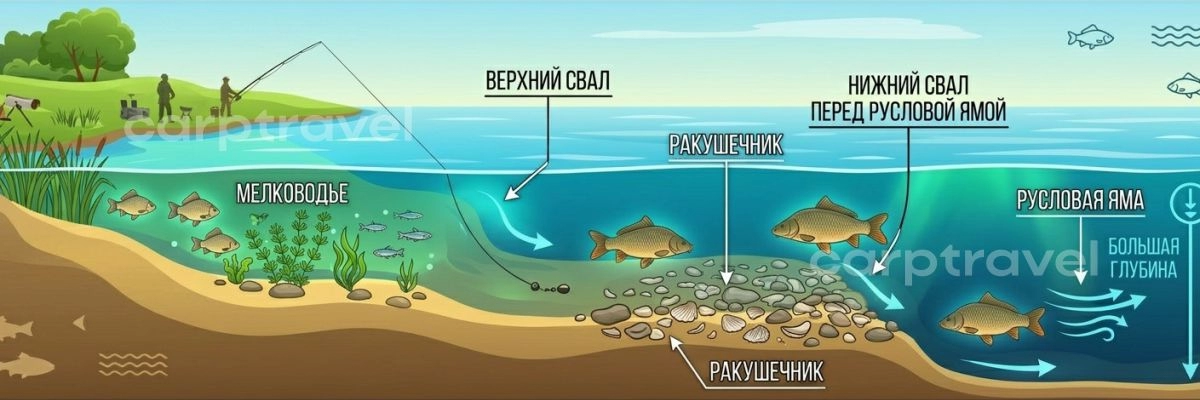 Перспективные точки в июне: верхняя бровка, ракушечник, нижняя бровка перед русловой ямой