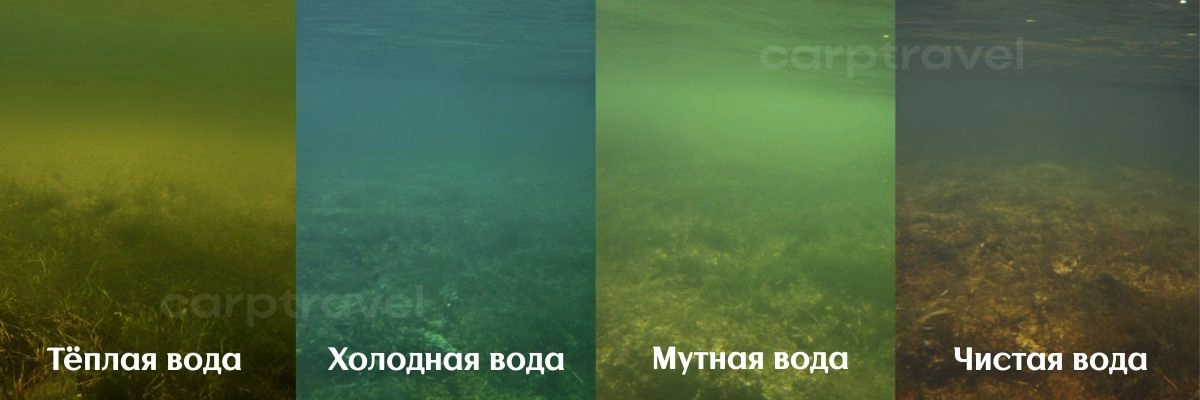 Поп-апы CarpTravel. Универсальное применение в различных условиях водоема Поп-апы CarpTravel. Универсальное применение в различных условиях водоема