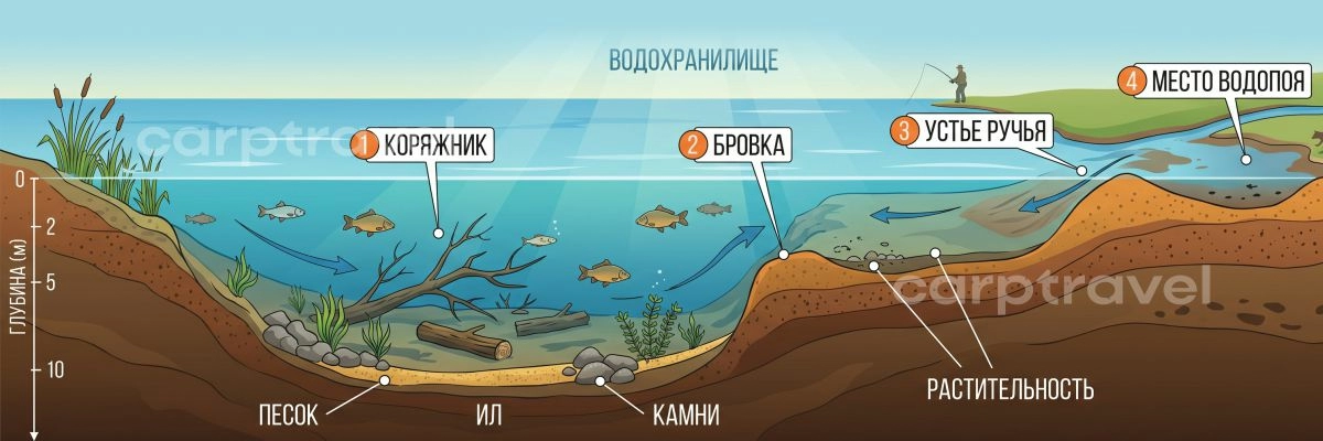 Типичные весенние точки стоянок сазана на реке Типичные весенние точки стоянок сазана на реке