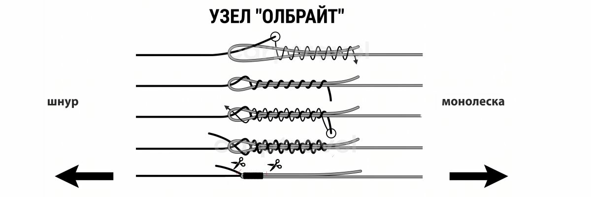 Как вязать шок-лидер: узел Олбрайт за 6 шагов