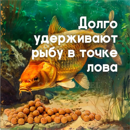 Бойлы тонущие GBS Baits Прикормочные Tiger Nut  20мм 1 кг (Тигровый Орех) 4