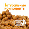 Бойлы тонущие GBS Baits Прикормочные Tiger Nut  20мм 1 кг (Тигровый Орех) 1