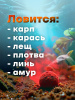 Пластилин рыболовный Carptravel Мотыль (цв. флюро красный) -Лещ2