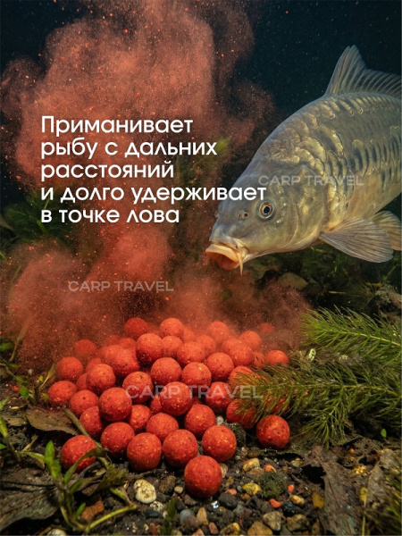 Бойлы пылящие Carptravel насадочные Citrus 14мм 100 г (Цитрус) 4