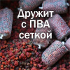 Жидкое питание GBS Baits Amino Liquid Charming Plum  500 мл (Чарующая слива) 