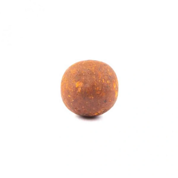 HB0005_2