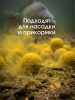 Бойлы пылящие Carptravel насадочные кукуруза4